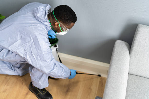 Best Residential Pest Control  in Silver Spring, MD